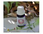 Insect Bite Anti-Itch Concentrate 12mL