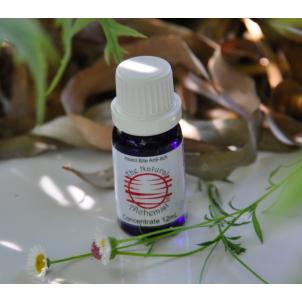 Insect Bite Anti-Itch Concentrate 12mL