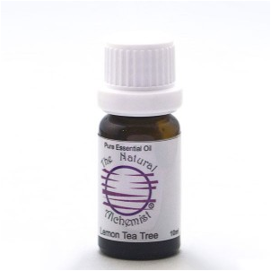 Lemon Tea Tree Organic - Australian 12mL