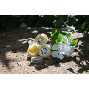 Lip Balm -Sunflower Kiss 10g