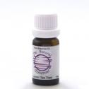 Lemon Tea Tree Organic - Australian 12mL